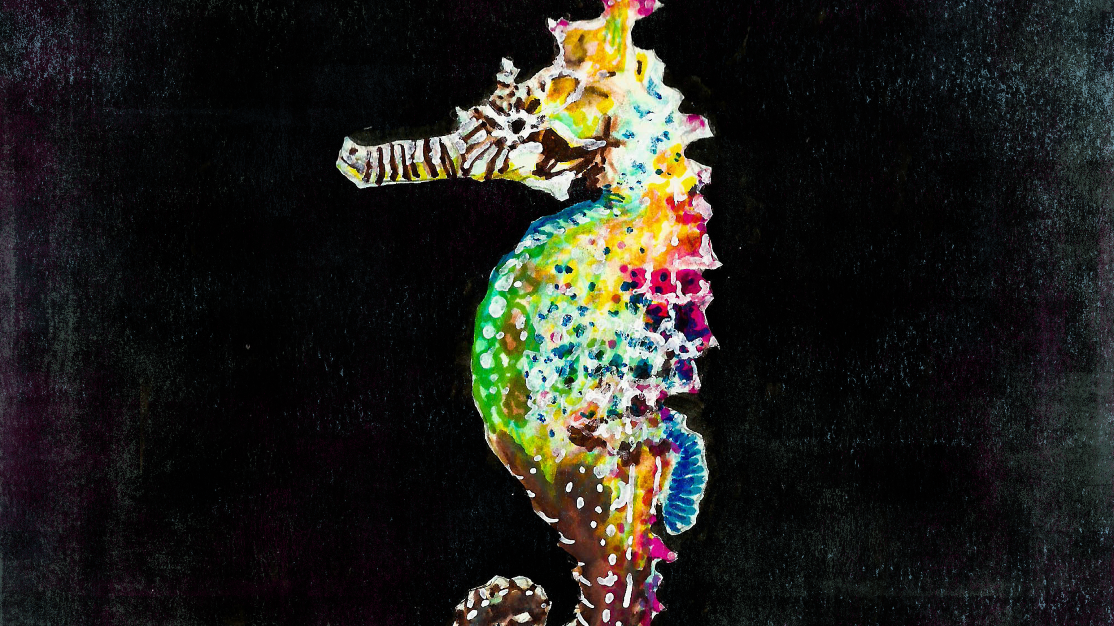 ColorfulSeahorse